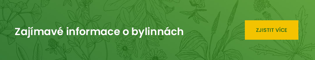 popis bylin